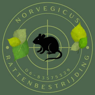 Norvegicus rattenbestrijding Norvegicus rattenbestrijding